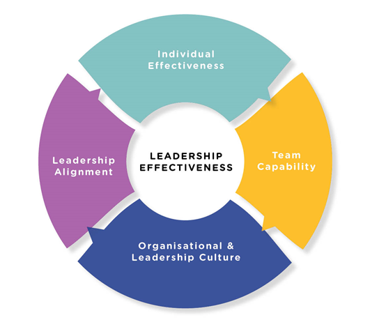 Leadership Development – P3A Consultancy